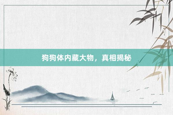 狗狗体内藏大物，真相揭秘
