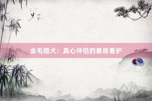 金毛猎犬：真心伴侣的善良看护